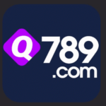 Q789 Game