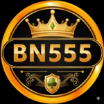 BN555 Game