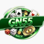 Gn55 Game