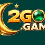 2GO Game
