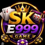 SK-E999